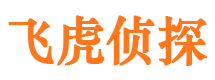 龙岩调查取证